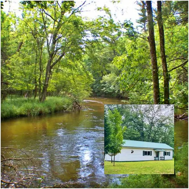 Cozy Cabin Retreat - 5 min walk to River - Image 1