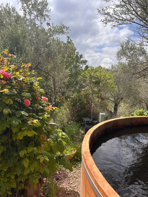 Rural B&B in the Upper Galilee - a perfect winter vacation - Image 1
