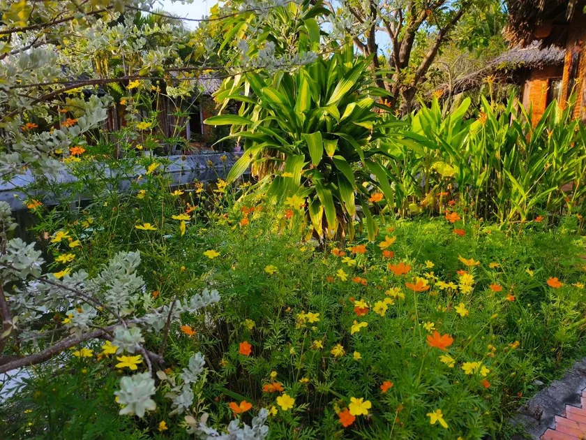 The Little Garden Mui Ne Homestay - Image 1
