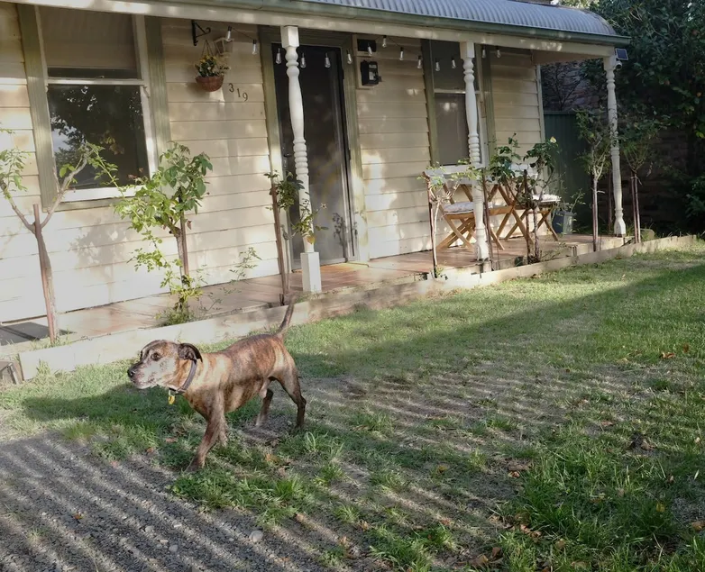 Pet & Family retreat | Fenced yard | Walk to town - Image 1