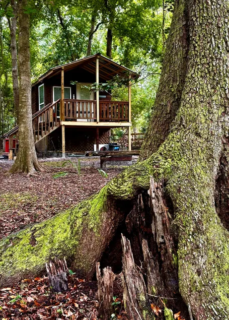 Up Ta Camp - Image 1