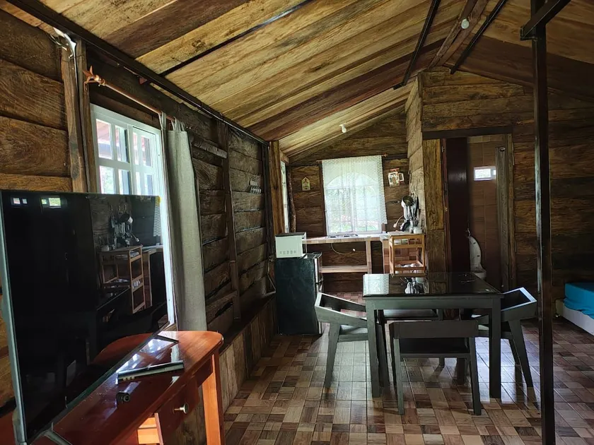 Cabin on a coffee plantation - Image 1