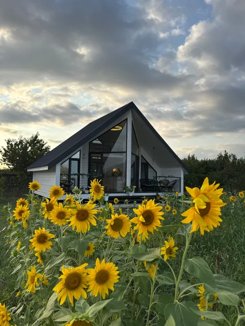 Yellow House_Natakhtari - Image 1