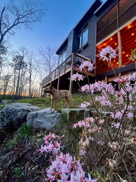 Nature lovers! Trail, garden, view, privacy and + - Image 1