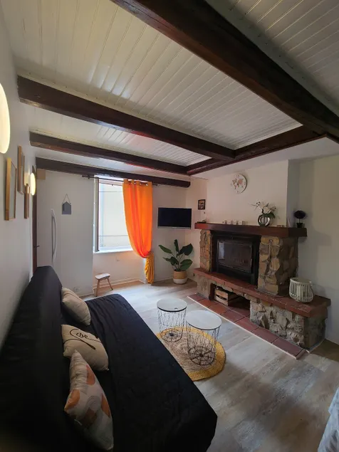 Fully renovated Auvergne house - Image 1
