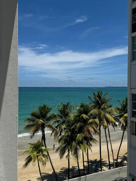 Coqui Condo - Image 1