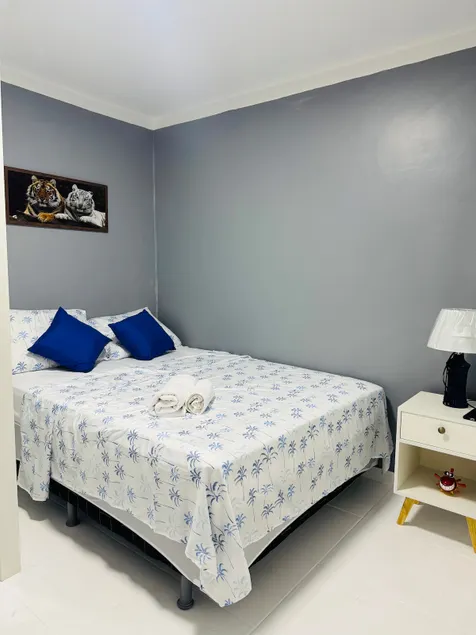 Loft manaus Santorini - Image 1