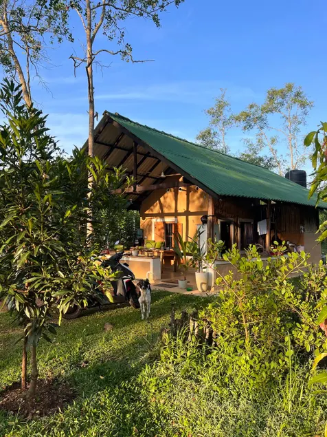 Jungle Breeze - Image 1