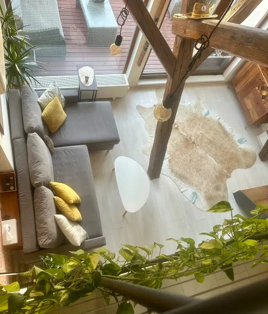 Loft with soul, tranquility and terrace in the heart of Brno - Image 1