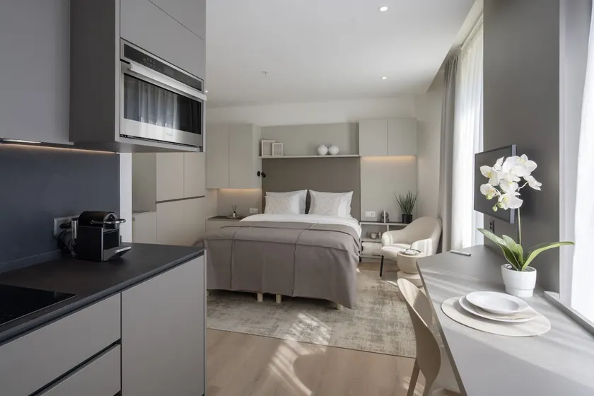 Standard Studio, Close to Palexpo and GVA - 677000 - Image 1