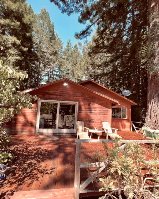 Beautiful Redwood Cabin with Sauna! - Image 1