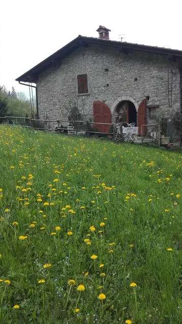 Grandpa's barn - Image 1