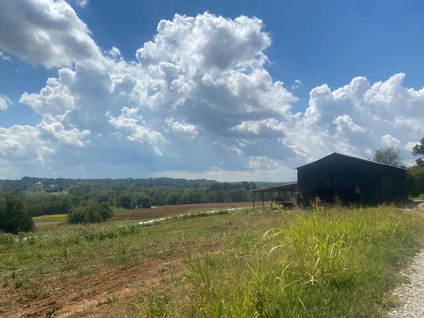 Country Farmhouse, peace, beauty & tranquility - Image 1