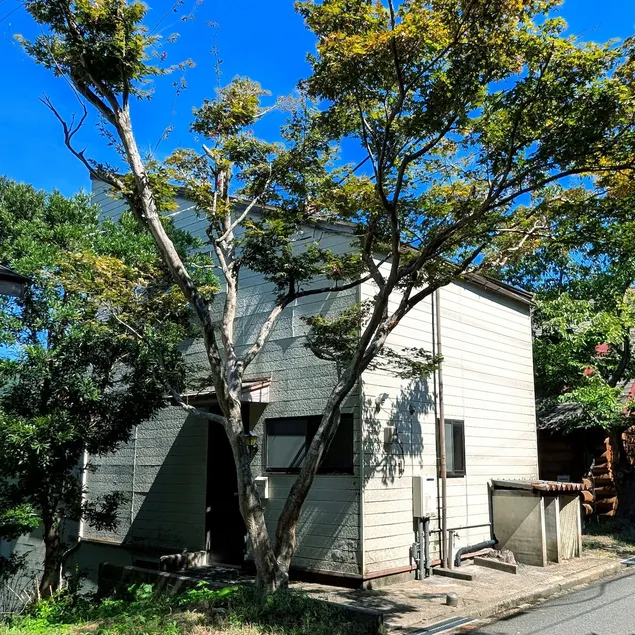 Cottage self-sufficient Ine - Image 1