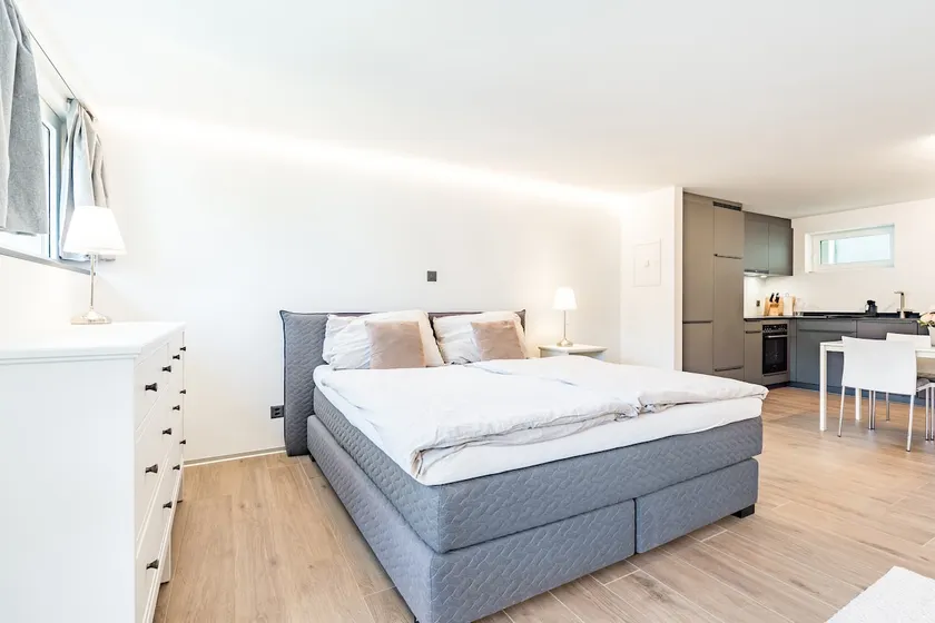 Completely renovated, furnished studio with plenty of comfort - Image 1
