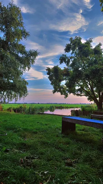 Swan Cabins - Image 1