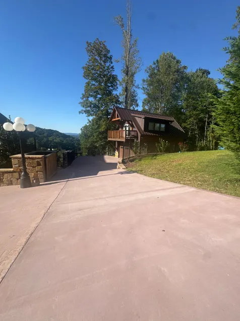 The Nest Above the Lake - Image 1