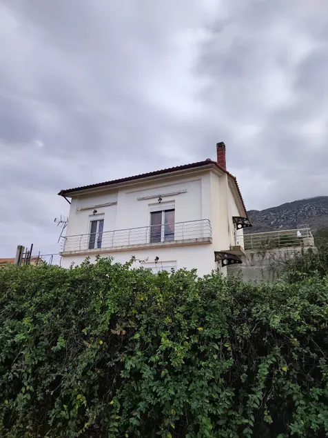 La Rosa - Image 1