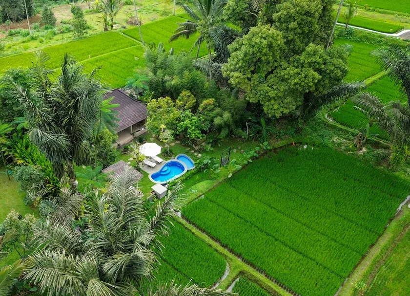 Peaceful private pool villa with ricefield view - Image 1