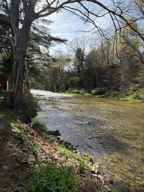 Waterfront Trout View Cottage-Creekside Relaxation - Image 1