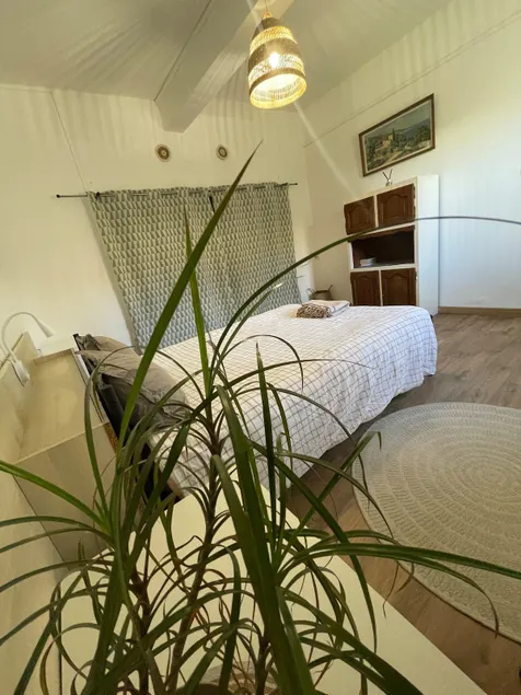 Air-conditioned cottage in the heart of the vineyards, Canal du Midi - Image 1
