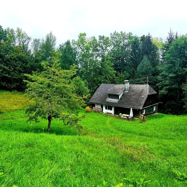Charming Salzkammergut hut - meadows, forest & lake - Image 1