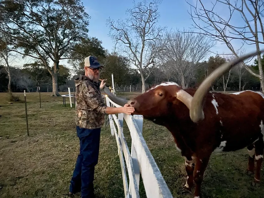 Texas Ranch Getaway | Horses, Longhorns & Quiet - Image 1