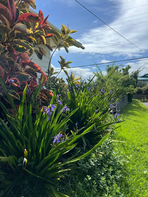 Slow Pace & Simple Pleasures - Image 1