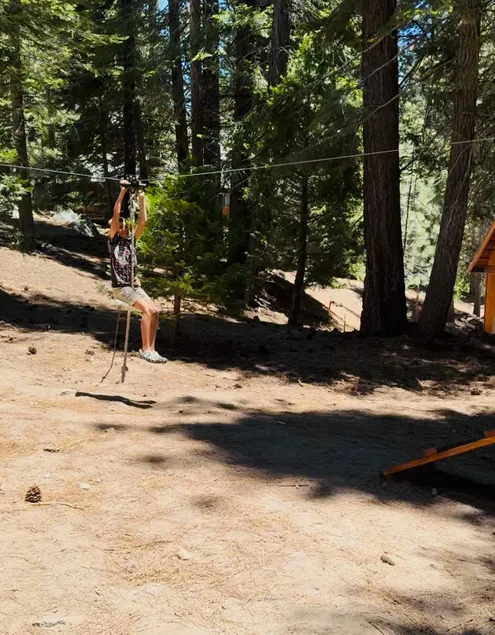 Fire pit, kids play area, treehouse, zipline, pets - Image 1