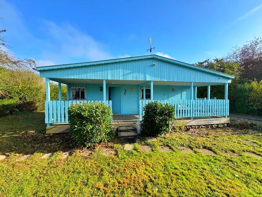 Blue house - Image 1