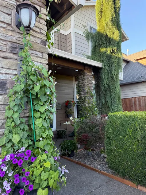 Peaceful Family Stay * Garden & Space for 8 Guests - Image 1