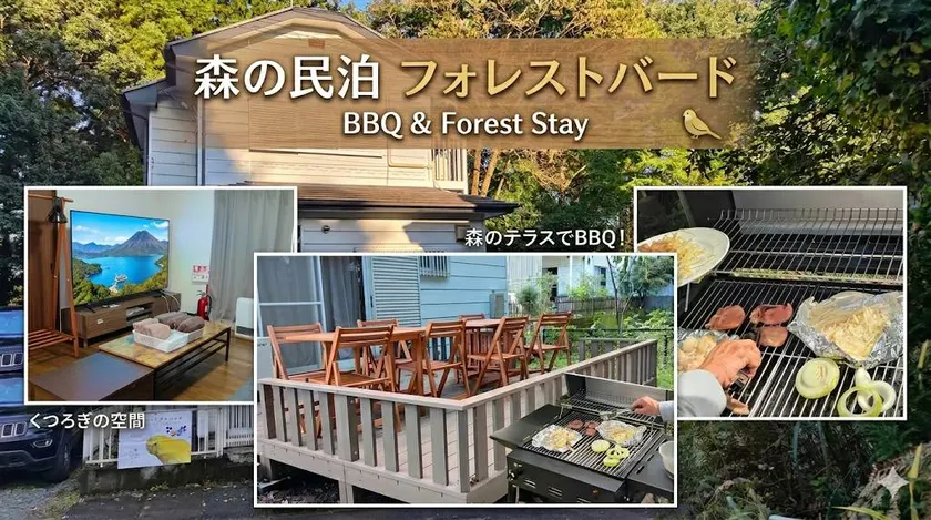 A forest guesthouse with barbecue facilities - Image 1