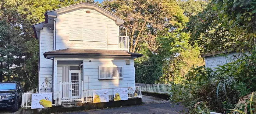 A forest guesthouse with barbecue facilities - Image 1