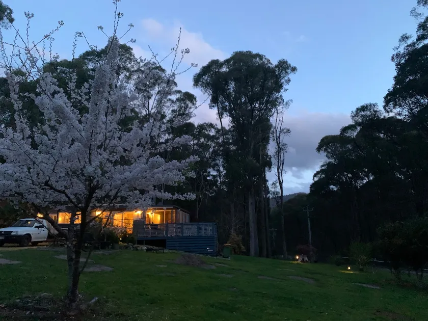 Retreat in a beautiful forest! - Image 1