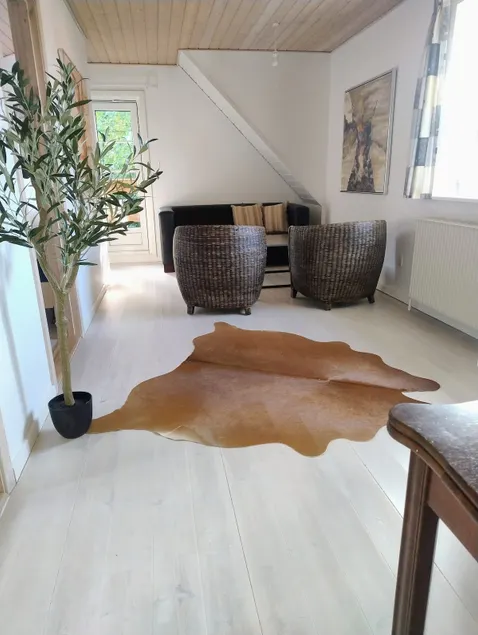 Holiday apartment with private balcony and free internet - Image 1