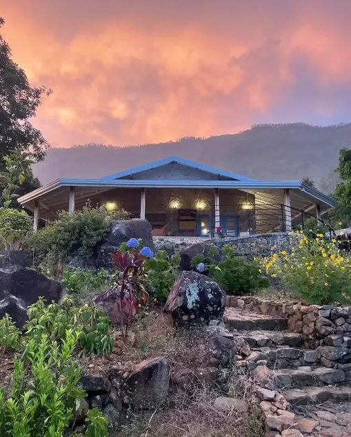 Blackwoods Farmhouse | Boutique Tea Estate Retreat - Image 1