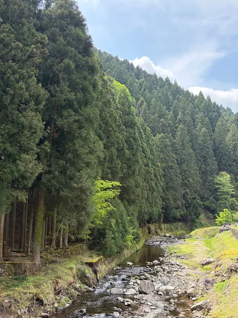 Enjoy a BBQ, sauna, wood stove, and river play in a quiet nature, a private accommodation away from home!One room in the main house is also available. - Image 1