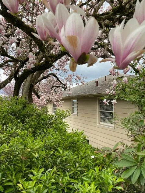 Mid-century guest suite in Mt Tabor! - Image 1