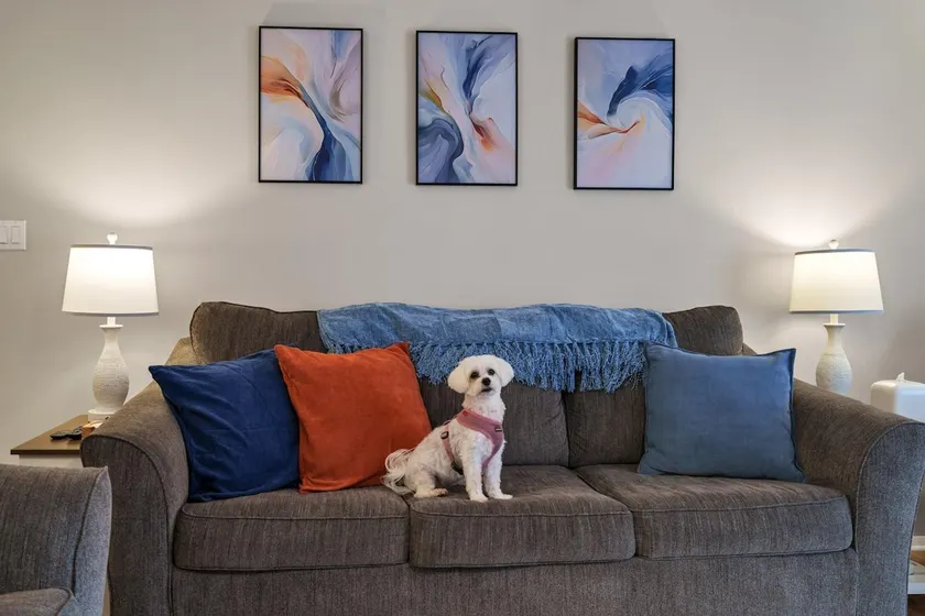 Dog friendly 1st floor King bd in Ocean Ridge - Image 1