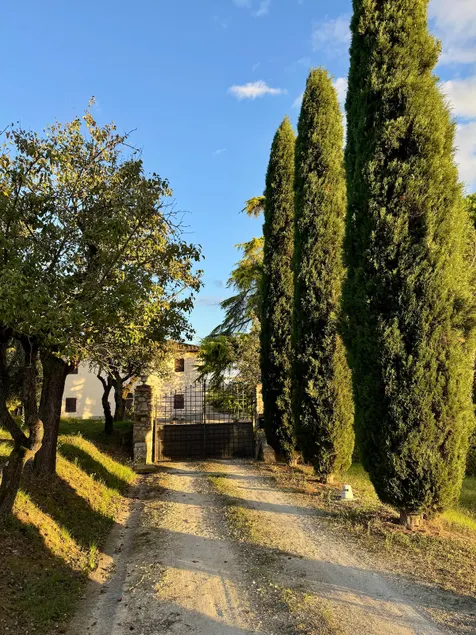Podere da Mario: Olive Trees, Cypresses, and Peace in Chianti - Image 1