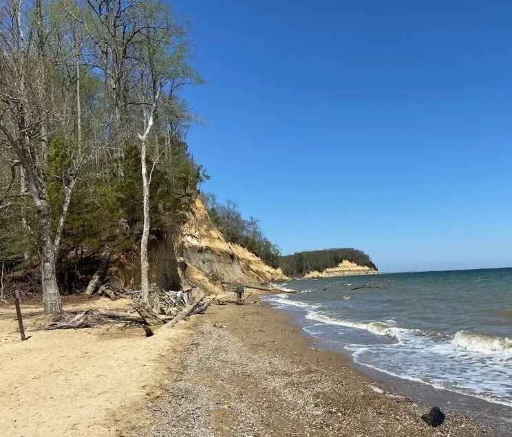 Coastal Hideaway near CalvertCliffs • Beach Access - Image 1