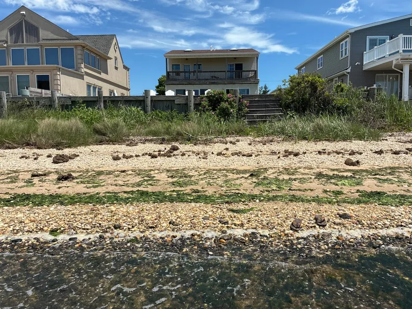 Bayside Retreat | 2 Bedroom House with Chickens - Image 1