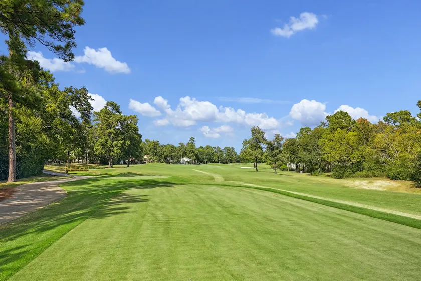Golf Course Luxury Modern House in the Woodlands - Image 1