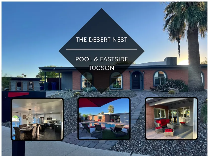 The Desert Nest - Image 1