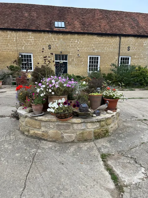 Character flat courtyard setting with horse riding - Image 1