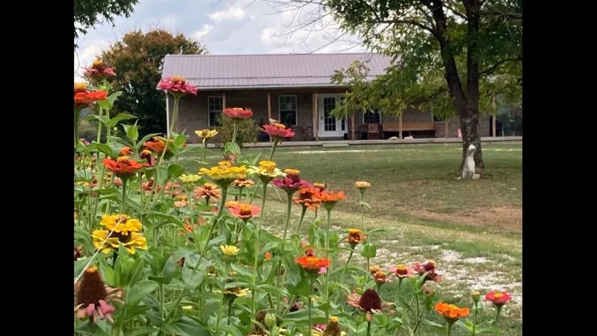 Welcome to Proctor’s Porch - Image 1