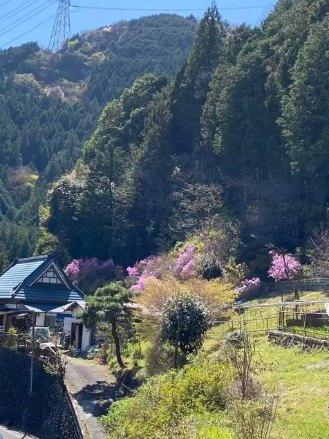Otanbaso: Over 100-Year-Old Traditional Home for Long-Term Stays – BBQ Set Available with Advance Reservation! - Image 1