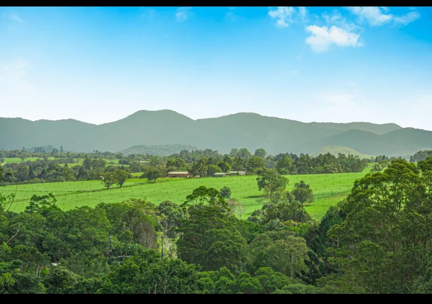 Malanda Hills on Mundey - Image 1