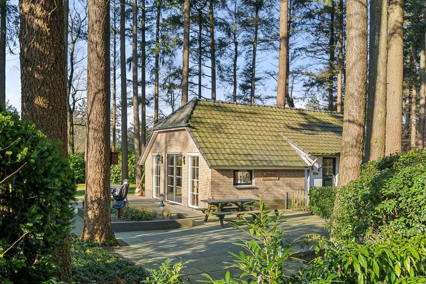 Quiet Boshuis Lunteren, Veluwe, Tuin en Haard. - Image 1