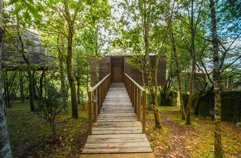 Treehouse overlooking the Ría - Image 1